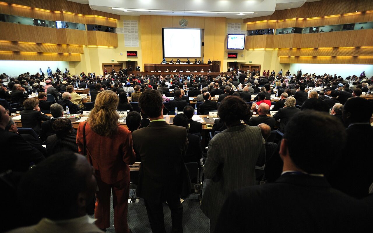 meeting, addis ababa, ethiopia, hall, conference, people, attendees, room, interior, decor, lighting, meeting, conference, conference, conference, conference, conference